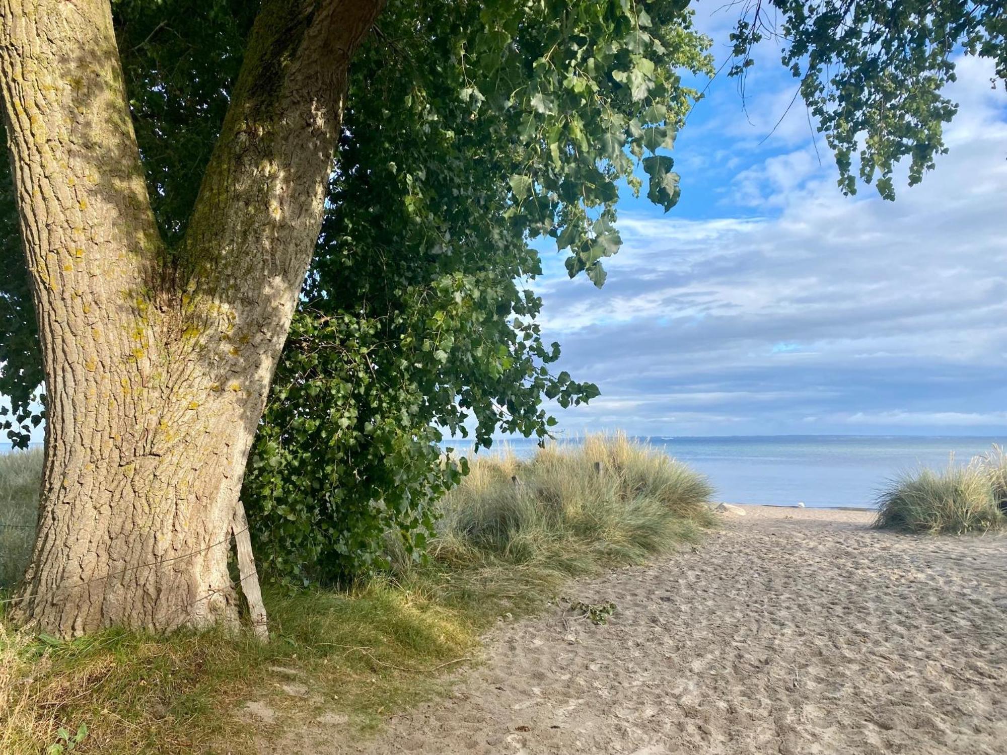 Feriendorf Suedstrand Haus 46 Пельцеракен Екстер'єр фото